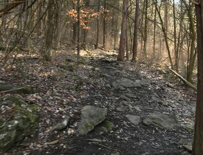 Westhaven Trails: Running Paths and Trails Highlighted in Williamson County by Elena McCown, LLC a health coach in Franklin, TN