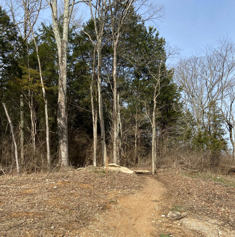 Franklin Mountain Bike Trail System: paths, trails and parks in Williamson County, TN highlighted by Elena McCown, LLC a health coach in Franklin, TN