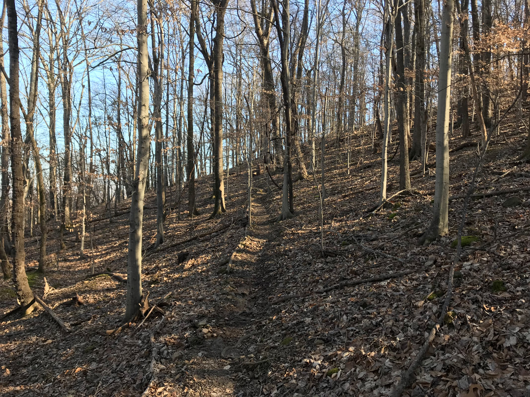 Westhaven Trails: Running Paths and Trails Highlighted in Williamson County by Elena McCown, LLC a health coach in Franklin, TN