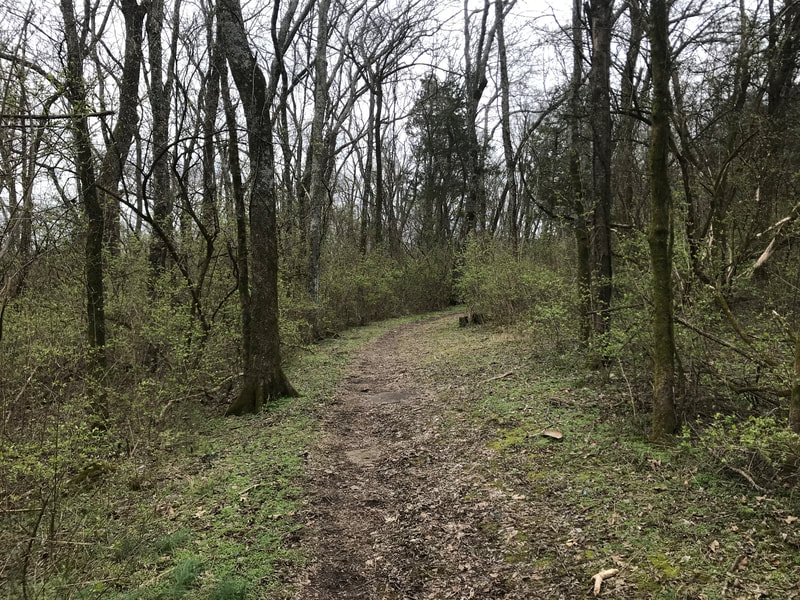 The Park at Harlinsdale Farm Trail: Williamson County, TN Paths, Trails and Parks highlighted by Elena McCown, LLC a health coach in Franklin, TN