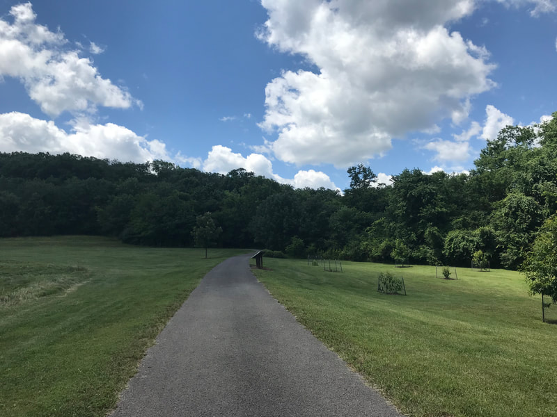 Winstead Hill Park Path: Parks, Paths and Trails in Williamson County, TN highlighted by Elena McCown, LLC a health coach in Franklin, TN