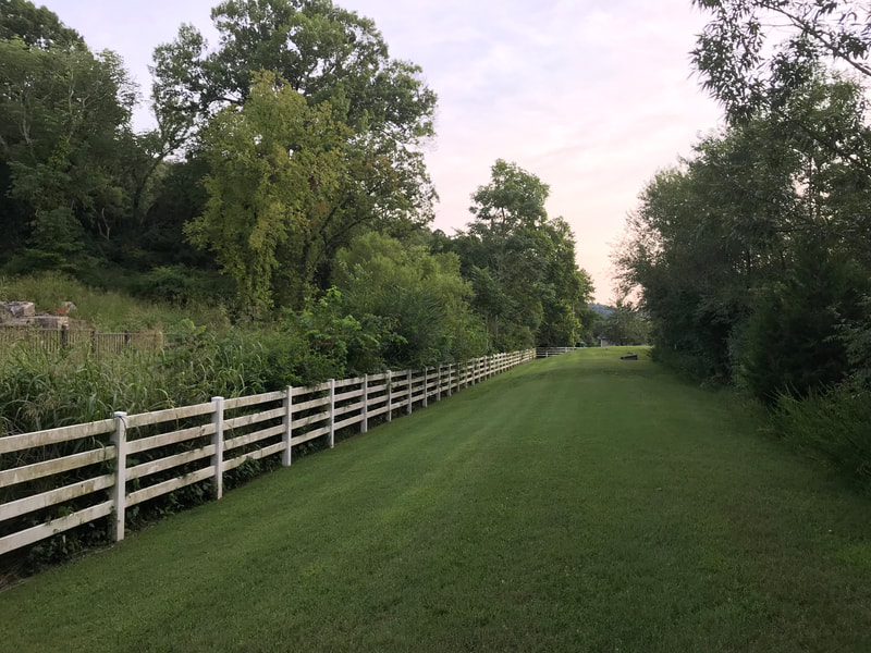 Dry Branch Wetland Trail: Parks, Paths and Trail around Williamson County, TN highlighted by Elena McCown, LLC a health coach in Franklin, TN