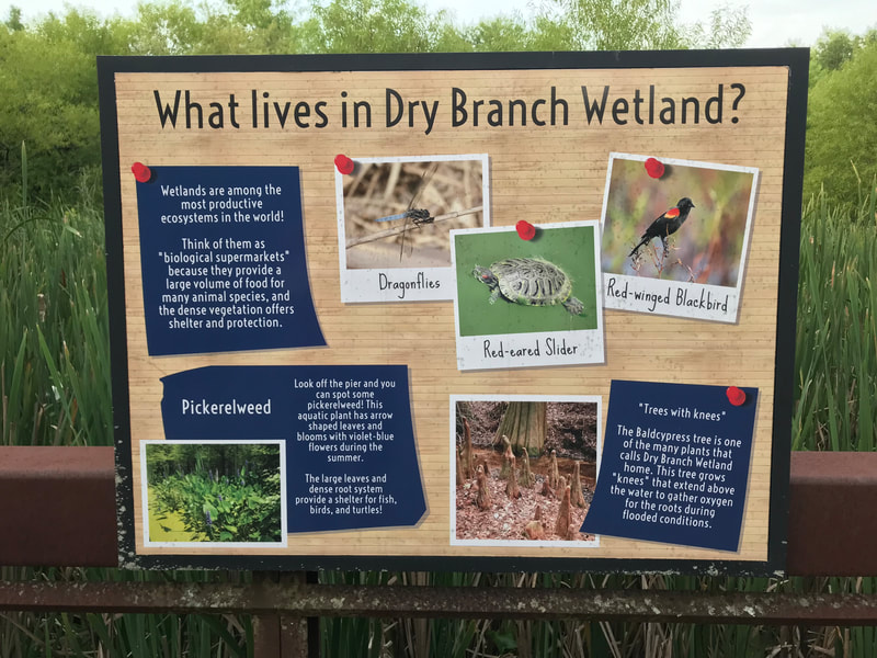 Dry Branch Wetland Trail: Parks, Paths and Trail around Williamson County, TN highlighted by Elena McCown, LLC a health coach in Franklin, TN