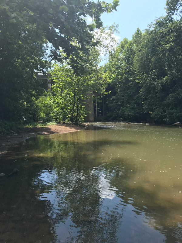 Harpeth River Canoe Access Points to swim, wade, fish, kayak or canoe by Elena McCown, LLC a health coach in Franklin, TN